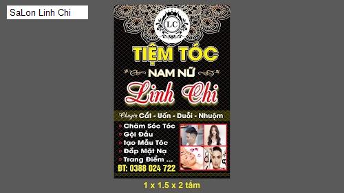 Hình ảnh SaLon Linh Chi